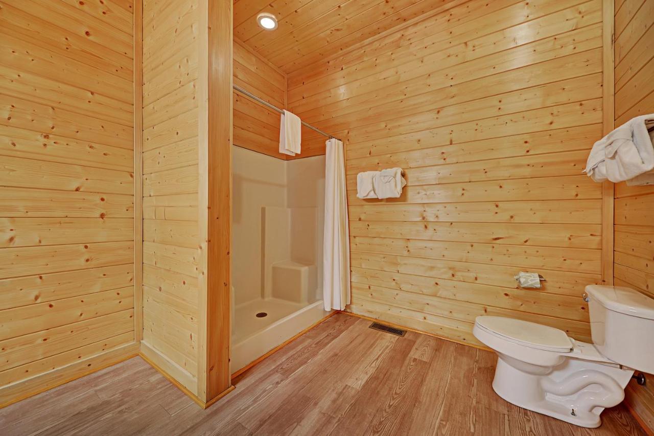 Вилла Gorgeous Large Mountain View Cabin W Hot Tub, Free Wifi, Games Севьервилл Экстерьер фото