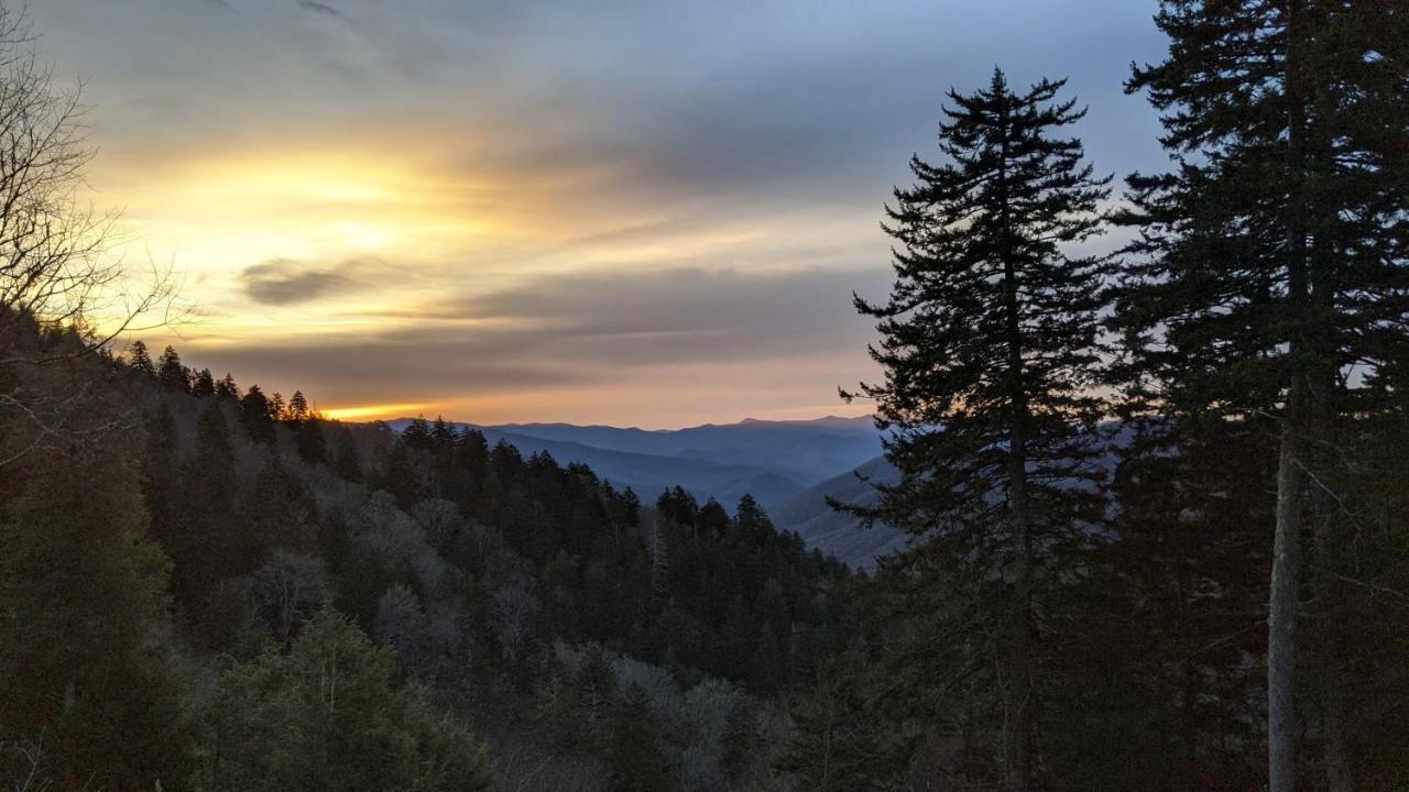 Вилла Gorgeous Large Mountain View Cabin W Hot Tub, Free Wifi, Games Севьервилл Экстерьер фото